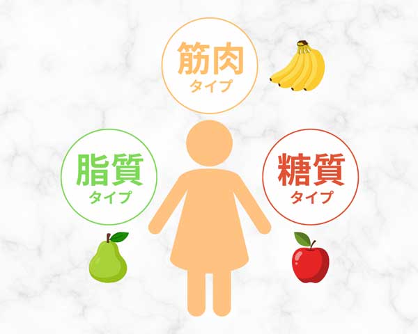 筋肉タイプ・脂質タイプ・糖質タイプ